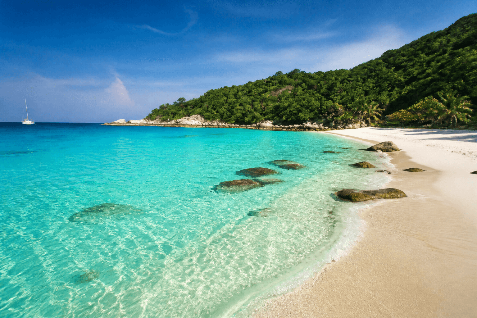 Coral Island